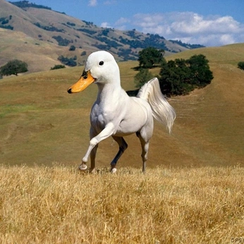 A cover of "silly billy" cluster. The owner is yourivygrows. The cluster consists of 13 elements.