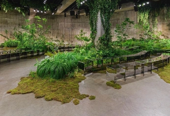 A cover of "greenture" cluster. The owner is lsaavedra. The cluster consists of 10 elements.