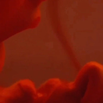 A cover of "r-" cluster. The owner is mo018d06. The cluster consists of 34 elements.