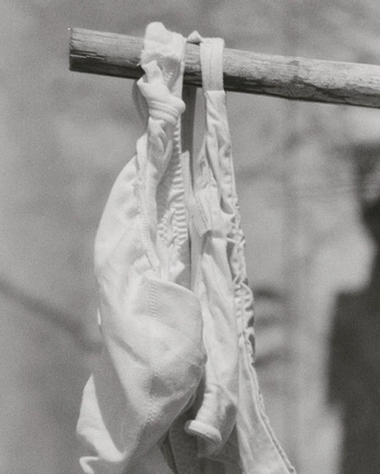 A cover of "Shoots" cluster. The owner is dossssy. The cluster consists of 4 elements.