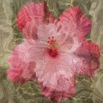 A cover of "prints" cluster. The owner is rodrigo.rosales. The cluster consists of 7 elements.