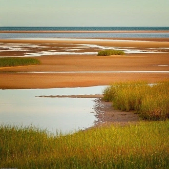 A cover of "m" cluster. The owner is maralgootavuud. The cluster consists of 39 elements.