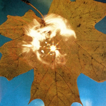 A cover of "Purnima" cluster. The owner is hautemess. The cluster consists of 10 elements.