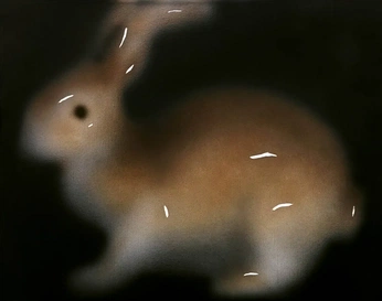 A cover of "Toca" cluster. The owner is vitorrichnrr. The cluster consists of 16 elements.