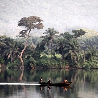 A cover of "Congo Pulse" cluster. The owner is liljaguar4life. The cluster consists of 16 elements.