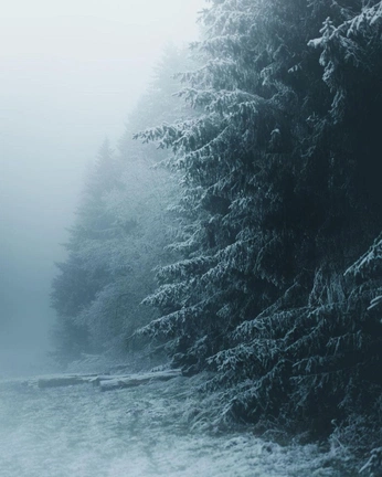 A cover of "Winter" cluster. The owner is mandyscollection. The cluster consists of 6 elements.