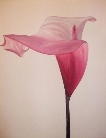 A cover of "flower" cluster. The owner is adrianaajuraado. The cluster consists of 7 elements.