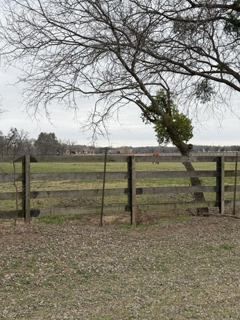 A cover of "Texas Charm" cluster. The owner is jjsummers. The cluster consists of 1 element.