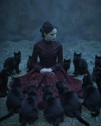 A cover of "witchcore" cluster. The owner is vistabluer. The cluster consists of 53 elements.