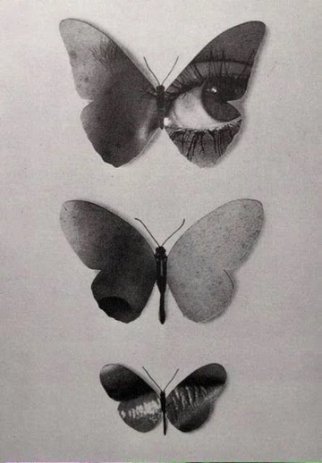 Cover of Butterfly Effect cluster