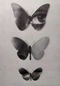 Cover of Butterfly E... cluster