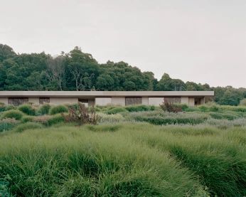 A cover of "LAND SCAPE" cluster. The owner is blackroster. The cluster consists of 20 elements.