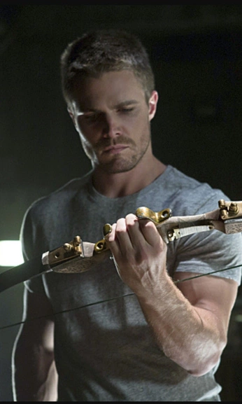 A cover of "the arrow" cluster. The owner is anayaau. The cluster consists of 27 elements.