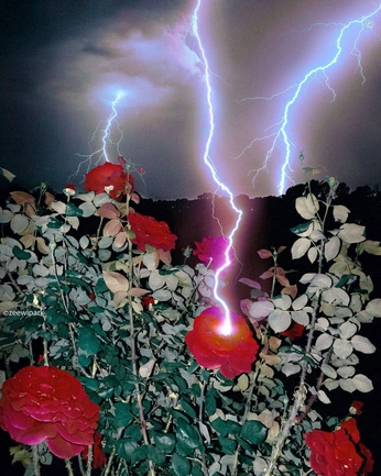 A cover of "rayos" cluster. The owner is amorfat1. The cluster consists of 9 elements.