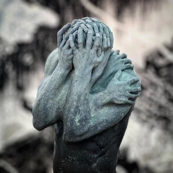 A cover of "the human condition" cluster. The owner is vyang. The cluster consists of 6 elements.