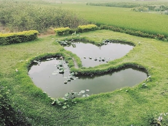 A cover of "🍐" cluster. The owner is aulaura. The cluster consists of 2 elements.