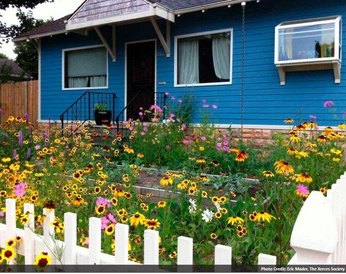 A cover of "Meadow" cluster. The owner is oxalisgardenspdx. The cluster consists of 9 elements.