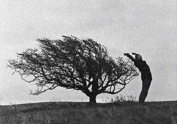 A cover of "ART IS LIFE" cluster. The owner is chaaadli. The cluster consists of 174 elements.