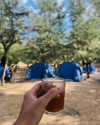 A cover of "Sonadia" cluster. The owner is mahmoodshabbir. The cluster consists of 69 elements.