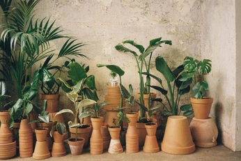 A cover of "Pflanzencenter hatt" cluster. The owner is fabienneschira. The cluster consists of 24 elements.