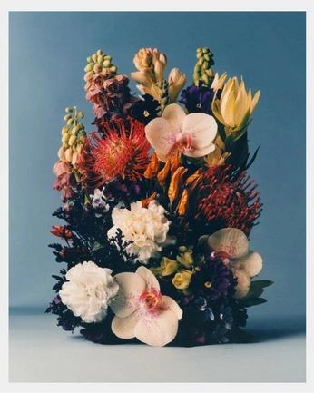 A cover of "Flower Arrangement" cluster. The owner is elvagrac. The cluster consists of 7 elements.
