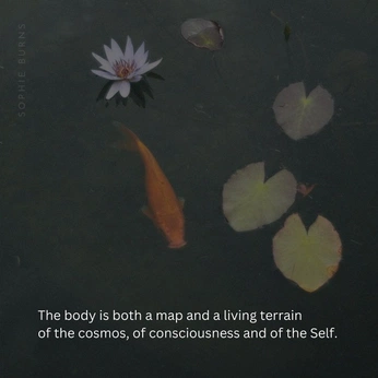 A cover of "Body" cluster. The owner is juniverse. The cluster consists of 3 elements.