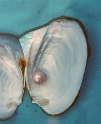 A cover of "Poseidon" cluster. The owner is madelineharris. The cluster consists of 28 elements.