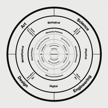 A cover of "Ica Selection" cluster. The owner is tuvaboman. The cluster consists of 4 elements.