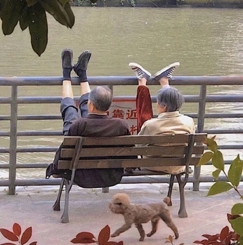 A cover of "Funny humans and nature" cluster. The owner is kalouma51. The cluster consists of 3 elements.