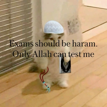 A cover of "mems" cluster. The owner is wisl7. The cluster consists of 1 element.