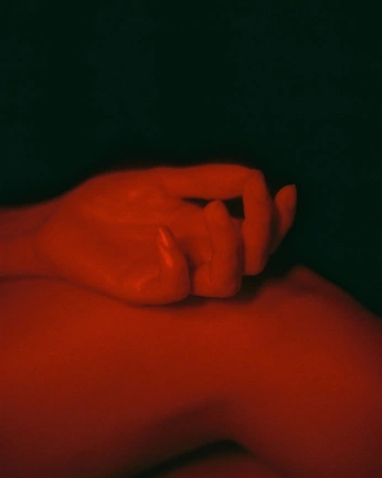 A cover of "Referens" cluster. The owner is a.skodorova. The cluster consists of 6 elements.