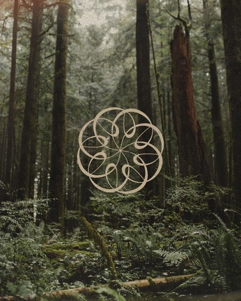 A cover of "Logo" cluster. The owner is ianme. The cluster consists of 2 elements.