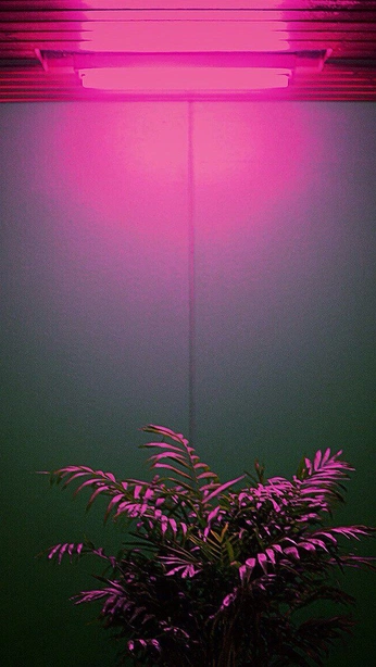 A cover of "Electric Eden" cluster. The owner is chiarasaid. The cluster consists of 76 elements.