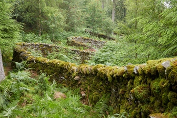 A cover of "earth water fire air" cluster. The owner is starlighty. The cluster consists of 9 elements.