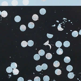 A cover of "Tactility" cluster. The owner is kiko. The cluster consists of 85 elements.