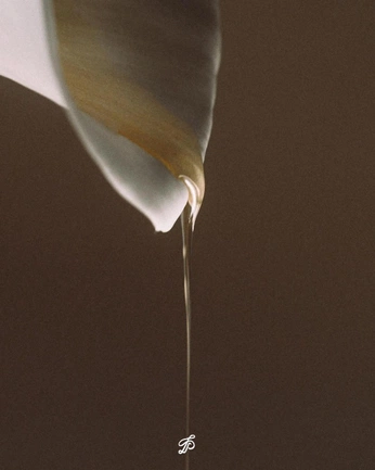 A cover of "feminine waters" cluster. The owner is helloevi. The cluster consists of 29 elements.