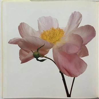 A cover of "elements" cluster. The owner is anastaciaguskova. The cluster consists of 10 elements.