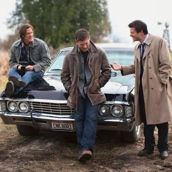 A cover of "SUPERNATURAL" cluster. The owner is rogerthatover. The cluster consists of 456 elements.