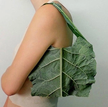 A cover of "Culinary Magic" cluster. The owner is camosapien. The cluster consists of 1 element.