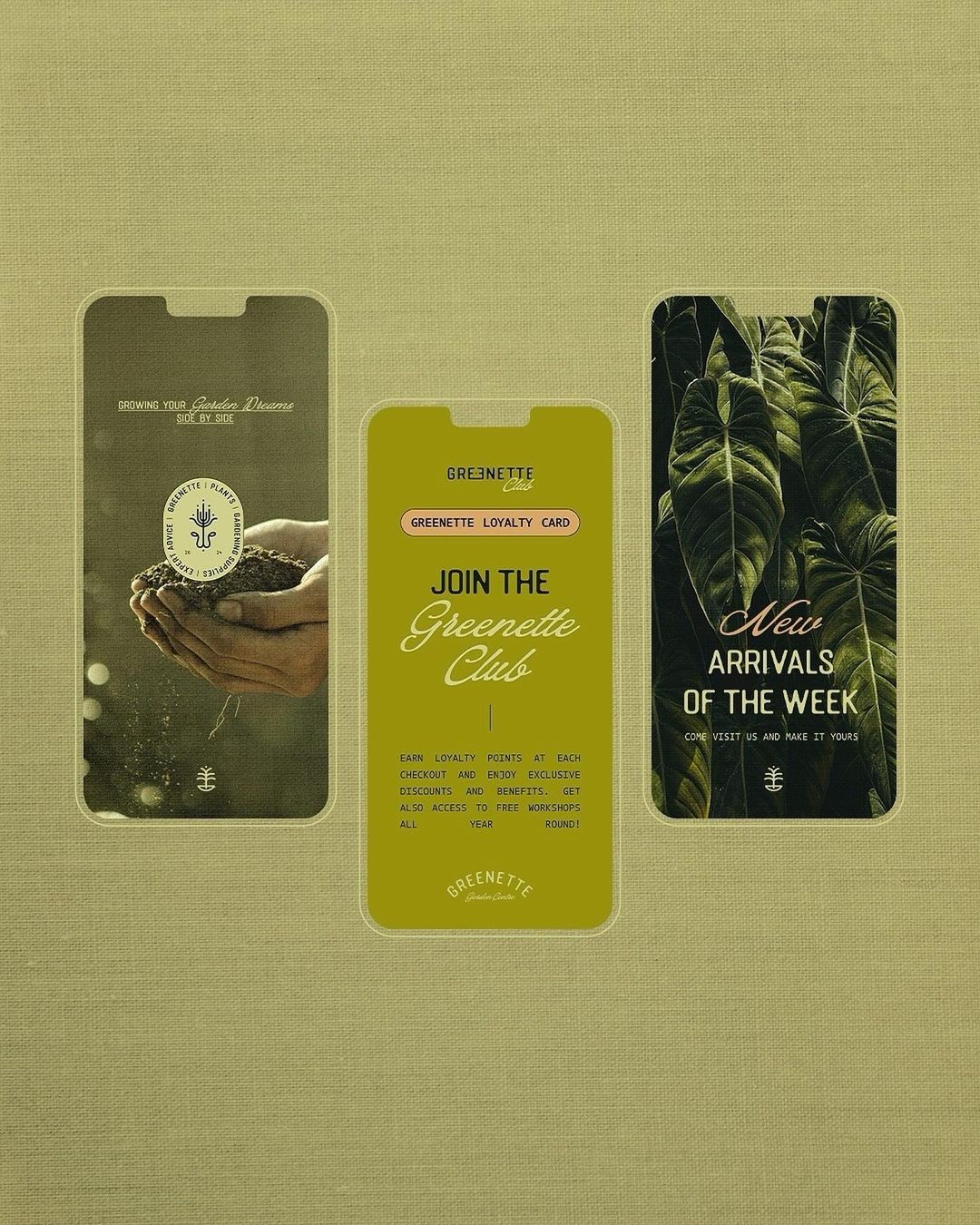 An Instagram carousel post added by 6 on Oct 31, 2024. The author is @designerbriefs.