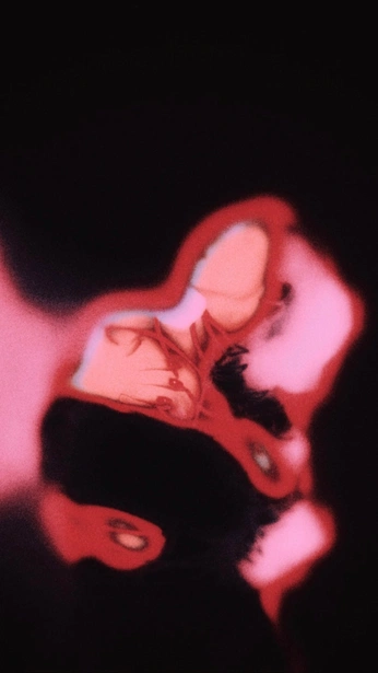 A cover of "microcosm" cluster. The owner is lilyelle. The cluster consists of 17 elements.