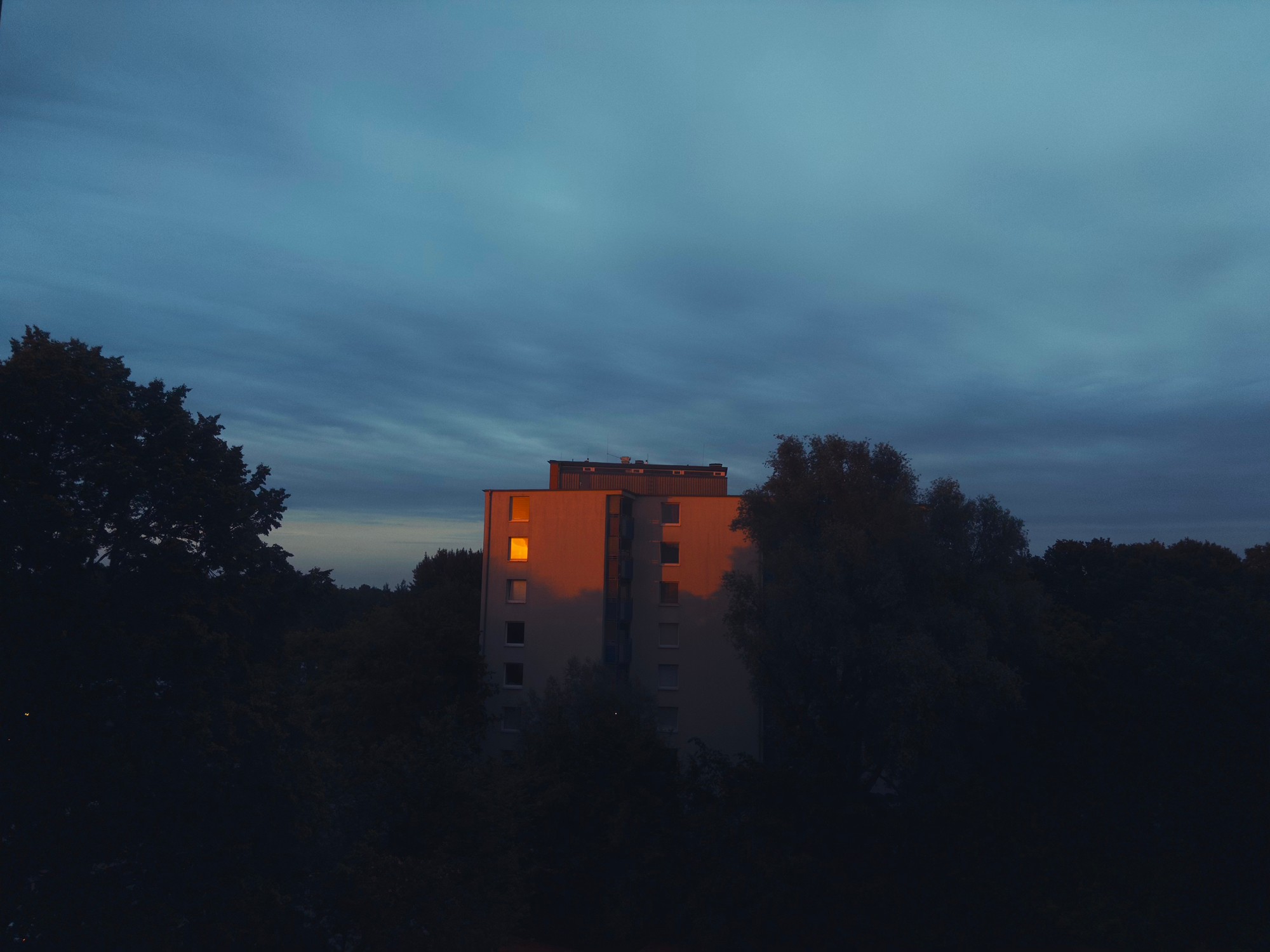 An image added by davidmendes on Jun 20, 2025. May present: evening.