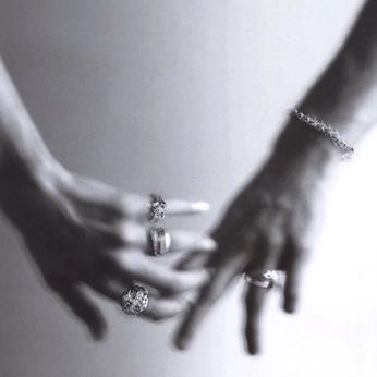 A cover of "SILVER" cluster. The owner is notmarjorie. The cluster consists of 23 elements.