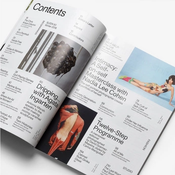 A cover of "magazin" cluster. The owner is cosasnuevas. The cluster consists of 1 element.