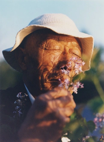 A cover of "tranquilia" cluster. The owner is abenaa. The cluster consists of 1 element.