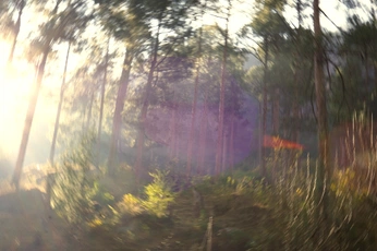 A cover of "himachal - a film" cluster. The owner is notkartikk. The cluster consists of 20 elements.