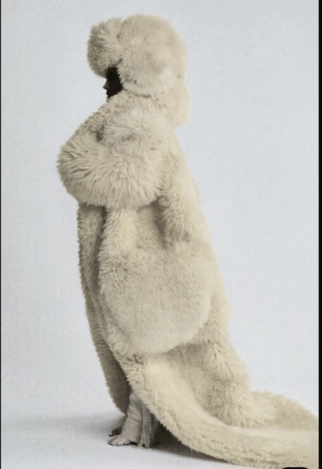 fashion