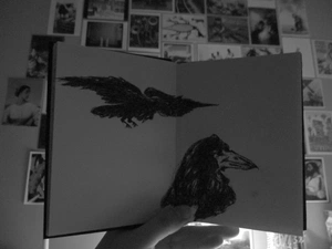 Alicia Fernandes avatar