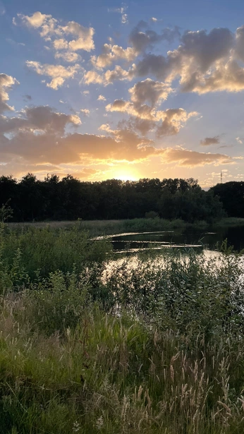 A cover of "Pictures i took <3" cluster. The owner is kyanajp. The cluster consists of 89 elements.