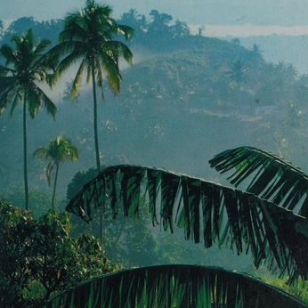 A cover of "Environent" cluster. The owner is magyarmatador. The cluster consists of 10 elements.